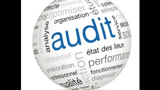 Audit organisationnel [upl. by Cirri]