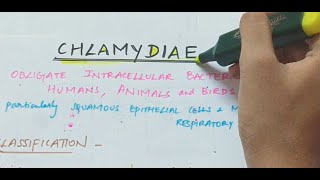 Chlamydiae  Microbiology  Handwritten notes [upl. by Anhpad325]