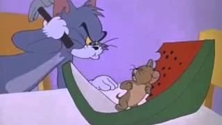 Tom and Jerry Cartoon The Tom and Jerry Cartoon Kitmp4 [upl. by Malina498]