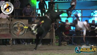 PARAMEDICOS AYUDEN AL JINETE LOS TOROS INFERNALES DE RANCHO LINALOE EN TLAPA GRO CALTITLAN [upl. by Hudnut]