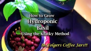 Easy to Grow Hydroponic Basil Using the Kratky Method [upl. by Theola]