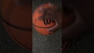 NBA Basketball Sound Effect [upl. by Eelitan272]