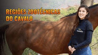 Regiões Zootécnicas do Cavalo [upl. by Niriam]