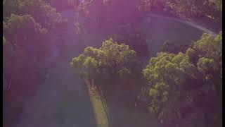 Tree Top view  Braeside Park  Footage  Australia KessaLuvChannel [upl. by Georgeanne248]