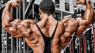 Roelly Winklaars Back and Arms Training  2 Weeks from Chicago Pro [upl. by Yelrebmyk]