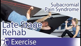 Subacromial Pain Syndrome SAPS  Late Phase Eccentric Rehab [upl. by Egwan]