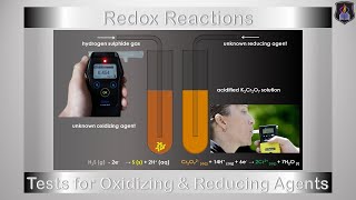 Test for Oxidizing and Reducing Agents  Chemistry Tutorial [upl. by Ruhtra]