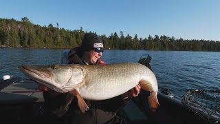 Trolling for Fall Muskies  InDepth Outdoors TV Season 10 Episode 1 [upl. by Naginarb]