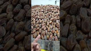 dates in madina love travel share islam islamic trending youtubeshorts subscribe like [upl. by Letisha]