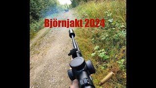 Björnjakt 2024 [upl. by Herzen528]