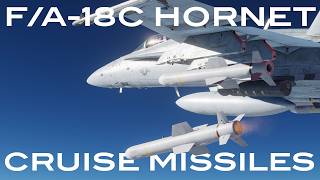 DCS FA18C  AGM84D  E  HK Harpoon SLAM SLAMER [upl. by Naggem12]