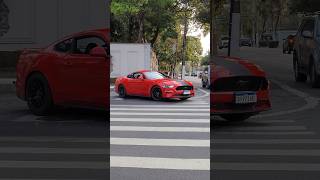 MUSTANG GT PREMIUM 50 V8 BLINDADO [upl. by Ainnek]