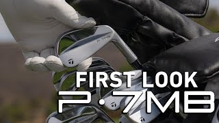 Testing the AllNew P·7MB Irons  TaylorMade [upl. by Reinold]