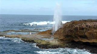 Quobba Blowholes Western Australia [upl. by Adnimra]