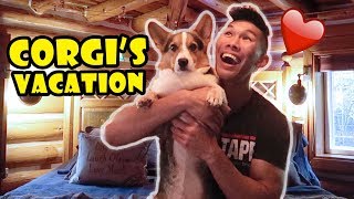 Giving a Vacation to My Corgi  Renting a Log Cabin for Him  Life After College Ep 620 [upl. by Walt]