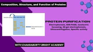 Protein Purification II SDSPAGE 2Dgel electrophoresis Ultracentrifugation Specific activity [upl. by Ofelia]