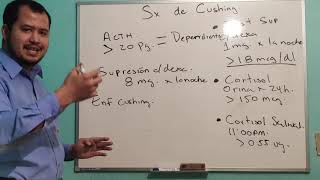 Síndrome de Cushing Fisiopatología y Abordaje Clínico [upl. by Toscano]