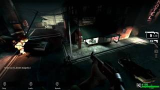 PC Left 4 Dead Easy Way to Kill 53595 Zombies Zombie Genocidest Achievement Guide HD [upl. by Akiaki]