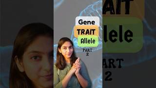 Gene Allele and Trait Part 2  Class 12  shorts neet ytshorts [upl. by Dickie955]