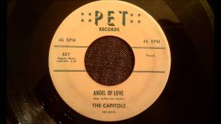 Capitols  Angel Of Love  Rarest Of The Rare Doo Wop Ballad [upl. by Ahsitel]