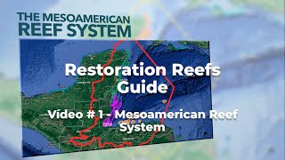 1 Mesoamerican Reef System [upl. by Stiruc]