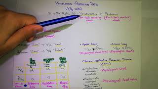 VentilationPerfusion Ratio Chapter 40  part 5 Guyton and hall text book of physiology [upl. by Nitsugua437]