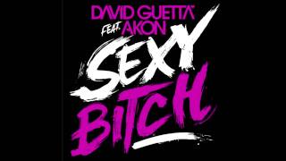 David Guetta ft Akon  Sexy Bitch HQ [upl. by Caniff698]