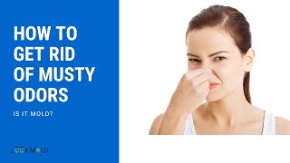 How To Get Rid Of Musty Odors or Smell  Is It Mold [upl. by Alesig]