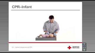 CPR  Infant [upl. by Raphaela]