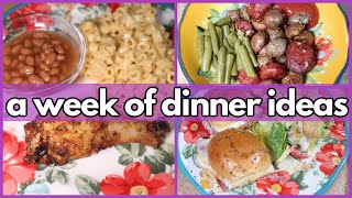 SIMPLE DINNER IDEAS  What’s For Dinner 334  1WEEK OF REAL LIFE MEALS [upl. by Derdlim]