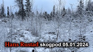 Skogpod 5 januar 2024 [upl. by Aray]