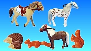 PLAYMOBIL Country Horse Pony Farm Animals Building Set Build Review [upl. by Akinihs]