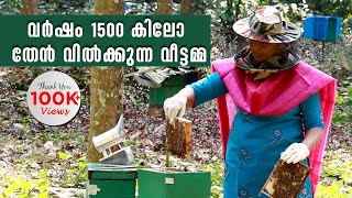 ഇത്രയ്ക്കും എളുപ്പമായിരുന്നോ തേനീച്ച കൃഷി  Success Story of Honey Bee Farming  Beekeeping Tips [upl. by Barnet]