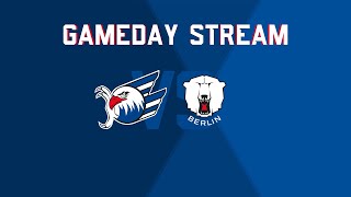 GamedayStream Adler Mannheim  Eisbären Berlin [upl. by Kos]