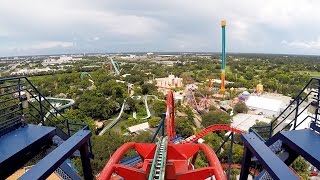 SheiKra Front Row POV Ride at Busch Gardens Tampa Bay on Roller Coaster Day 2016 Dive Coaster [upl. by Anauqaj]