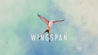 Wingspan Digital Edition  Lets Play [upl. by Hailey]