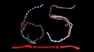 Wolfgang Petry  65 Lyric Video [upl. by Beisel]