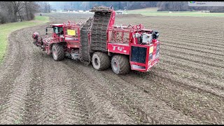 Rübenvollernter Holmer Terra Dos T440 im Einsatz für 🇨🇭 Rübenumschlag Mittelland 🇨🇭 [upl. by Eniluap]