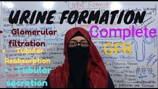 URINE FORMATION COMPLETE  ALL STEPS  GFR  RENAL PHYSIOLOGY AND SKIN  ayeshamedicaleducation [upl. by Mya]