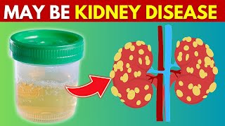 6 Reasons Of Foamy or Bubbly Urine One Is Kidney Disease [upl. by Yrrehc]