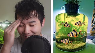 they made a Tetra Jar Ecosphere  Fish Tank Review 237 [upl. by Aerdnaed463]