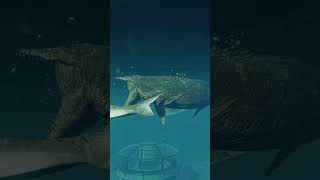 Megalodon vs mosasaurus [upl. by Nortna]