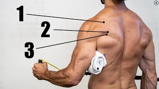 BEST Rotator Cuff Exercises Not What You Think [upl. by Maggio822]