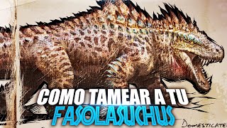 COMO TAMEAR A TU FASOLASUCHUS  Guia Español  Ark Survival Ascended [upl. by Derraj]