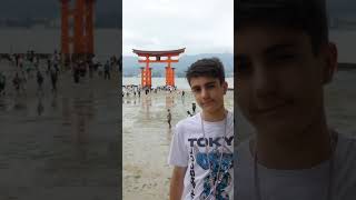 MIYAJIMA shortsyoutube miyajima japan japantravel [upl. by Marjy]