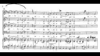 Ave verum corpus Mozart  Alto practice [upl. by Evol]