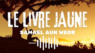 Le Livre Jaune  Livre Audio de Samael Aun Weor [upl. by Broder]