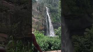 Aberdeen waterfall  Aberdeen feel resort  Ginigathhen  Sri Lanka [upl. by Hoban]