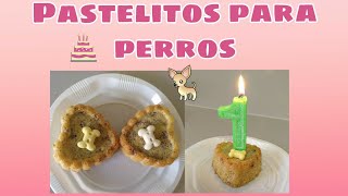 Pastel para perros Receta fácil y rápida🎂🐶 [upl. by Pascia]