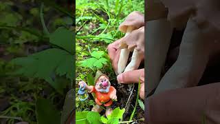 Immersive picking of wild edible mushrooms in the forest is too stress relieving asmr mushrooming [upl. by Dlonyer]